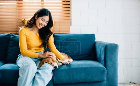 Téléchargez les photos : Une femme joyeuse, vêtue de sa combinaison exclusive, profite de moments ludiques avec son mignon chien Beagle sur le canapé à la maison. Le lien qu'ils partagent est réconfortant. L'amour des animaux est. - en image libre de droit