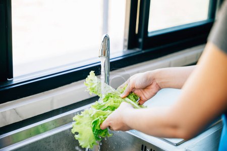 Photo for Womans hands washing assorted vegetables in a sink with running water creating a vegan salad in a modern kitchen. Hygiene and freshness emphasized in homemade healthy food prep. - Royalty Free Image