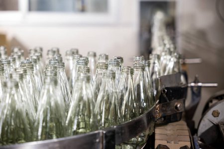 Foto de En una destilería, un cinturón automatizado exhibe botellas de vidrio vacías que indican la producción de bebidas alcohólicas. La tecnología moderna de los factorys promete procedimientos eficientes de embotellado. - Imagen libre de derechos