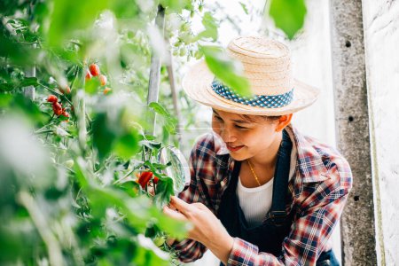 Foto de Un primer plano de un científico del tomate vegetal una joven agricultora inspeccionando tomates en un invernadero usando una lupa. Participar en la investigación agrícola explorando el crecimiento y la biología. - Imagen libre de derechos
