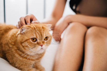 Photo for A woman and her beloved Scottish Fold cat relish the joy of bedtime togetherness in a comfortable bed at home. Their smiles and relaxed postures reflect their deep bond and contentment. - Royalty Free Image