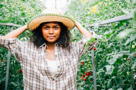 Foto de Mujer agricultora sonriendo de pie en un invernadero entre plantas de tomate sosteniendo un rastrillo. Retrato del alegre propietario adulto cuidando el crecimiento vegetal. La felicidad en la horticultura al aire libre. La belleza del sol es. - Imagen libre de derechos