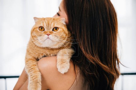 Photo for Unrecognizable woman carries her cute Scottish Fold cat, eyes reflecting happiness of their close bond. back view close-up is ideal for conveying warmth of their relationship copy space. - Royalty Free Image