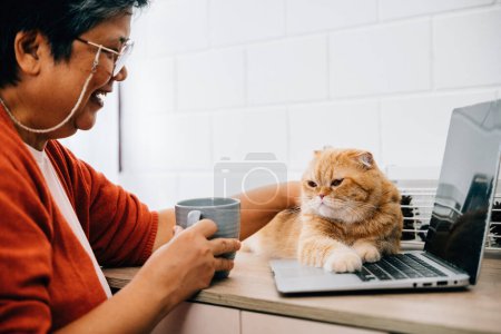 Foto de Mujer mayor, en su retiro, se dedica a actividades en línea en su computadora portátil, escribiendo en el teclado con una sonrisa. Su lindo gato Fold escocés se sienta a su lado, retrato de unión y satisfacción. - Imagen libre de derechos