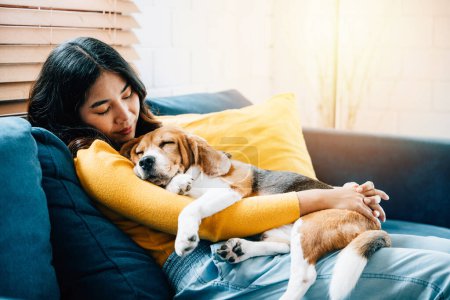 Foto de Una escena conmovedora se desarrolla en la sala de estar mientras una joven asiática abraza a su perro Beagle mientras duermen juntos en el sofá, personificando el concepto de confianza y felicidad en casa. - Imagen libre de derechos