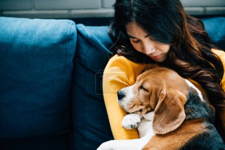 Téléchargez les photos : Dans leur salon, une jeune femme asiatique et son chien Beagle partagent une sieste sur le canapé, incarnant le concept de confiance, de bonheur et de détente à la maison. Amour animal de compagnie - en image libre de droit