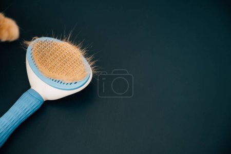 Photo for Maintaining pet hygiene, A clump of cat hair and a comb symbolize the care and grooming involved in keeping your Scottish Fold cats long fur clean and tangle-free. - Royalty Free Image