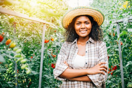 Photo for In a tomato greenhouse a smiling woman farmer in checkered attire arms crossed shows dedication to vegetable growth. Her cheerful portrait signifies a rewarding occupation outdoors. - Royalty Free Image