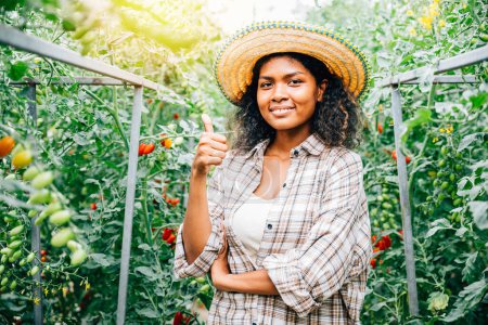 Photo for Happy women farmers in a hydroponic greenhouse check tomato quality giving thumbs up. Their portraits portray dedication to good growth successful entrepreneurship and joyful outdoor horticulture. - Royalty Free Image
