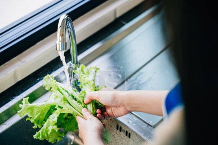 Photo for Clean eating at home, Womans hands wash fresh vegetables under running water in a modern kitchen sink prepping a vegan salad. Emphasizing hygiene and fresh crisp leafy greens. - Royalty Free Image