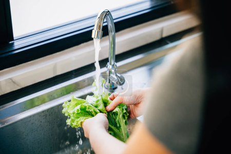 Photo for In a modern kitchen a womans hands wash a variety of fresh vegetables under running water at the sink prepping for a vegan salad. Hygiene and clean eating showcased. - Royalty Free Image