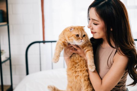 Foto de Un retrato conmovedor captura a una joven acunando a su adorable gato Fold escocés naranja. Comparten un vínculo especial en una cama acogedora, haciendo hincapié en el compañerismo y la alegría de la propiedad de mascotas. - Imagen libre de derechos