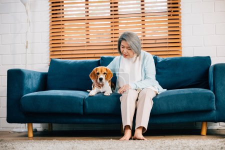 Téléchargez les photos : Portrait chaleureux, Une femme âgée et son chiot Beagle partagent un moment de convivialité sur le canapé de leur salon. Leur amitié et leurs sourires rayonnent de bonheur et d'amour. Amour animal de compagnie - en image libre de droit