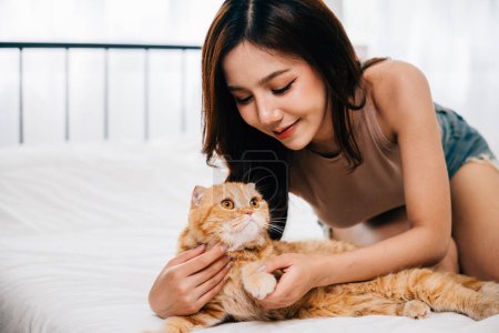 Téléchargez les photos : Une femme regarde avec amour et bonheur alors qu'elle caresse son chat écossais ludique sur le lit de leur chambre. Leur connexion est remplie de chaleur et de soins. Pat amour - en image libre de droit