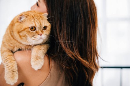 Photo for Back view, close up, a female owner holds her beloved Scottish Fold cat, their eyes revealing the depth of their special friendship. A heartwarming portrait with copy space for your message. - Royalty Free Image