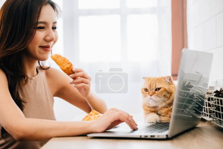 Photo for A young woman working diligently at her desk with a laptop, accompanied by her cuddly Scottish Fold cat. Their bond showcases the beauty of work and pet friendship. - Royalty Free Image