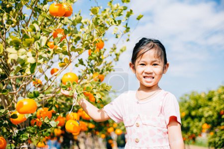 Téléchargez les photos : Un enfant joyeux dans le jardin d'oranger ensoleillé Italys cueille des oranges mûres. Son portrait joyeux capture la joie de cueillir des fruits en soulignant la beauté des natures récolte abondante. - en image libre de droit