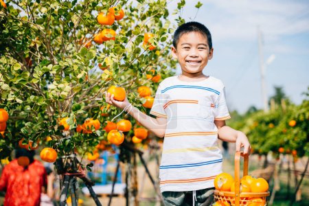 Photo for In a vibrant orange tree garden a cheerful boy reaches for a ripe orange. His portrait amidst the sunny farm showcases the childs joy and the beauty of natures bountiful harvest. - Royalty Free Image