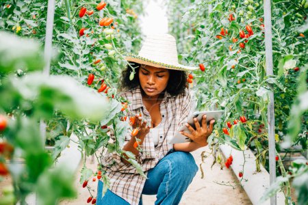 Photo for Smart farming with a woman farmer checking organic tomatoes on a digital tablet in the greenhouse. Owner smiles while examining vegetables, showcasing innovation in agriculture. - Royalty Free Image