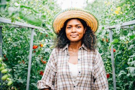 Téléchargez les photos : Au milieu des plants de tomate, une jolie paysanne sourit dans sa serre. Son occupation est évidente dans le portrait représentant les soins et la croissance dans les affaires de l'agriculture. Travailler à l'extérieur est. - en image libre de droit