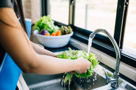 Photo for Hygienic food preparation, womans hands wash various fresh vegetables under running water in a modern kitchen sink preparing a vegan salad. Clean and fresh leafy greens. - Royalty Free Image