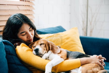 Foto de En la comodidad de su hogar, una joven asiática disfruta de una tranquila siesta en el sofá, compartiendo preciosos momentos de confianza, unión y felicidad con su amado perro Beagle. Amor de mascotas - Imagen libre de derechos