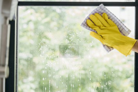 Téléchargez les photos : With happiness a young woman maid sprays and wipes office windows. Her housework routine emphasizes purity hygiene and transparent cleanliness for sparkling windows. - en image libre de droit