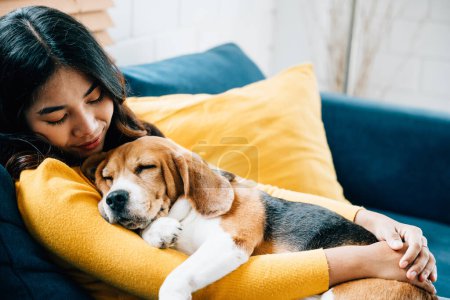 Foto de Una conmovedora escena de unión, una joven asiática y su perro Beagle duermen la siesta en el sofá de la sala de estar, personificando el concepto de confianza, felicidad y amor en casa. Amor de mascotas - Imagen libre de derechos
