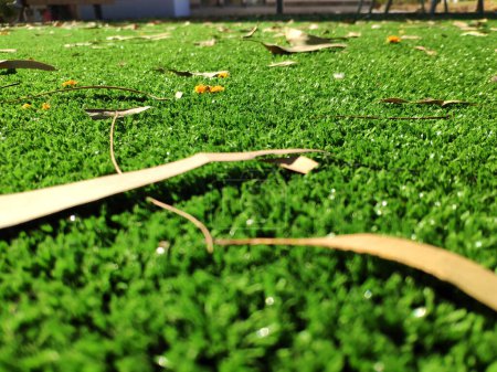 Photo for Fresh green grass with leaves background, close view macro photo with blurred edges. Natural background wallpaper - Royalty Free Image
