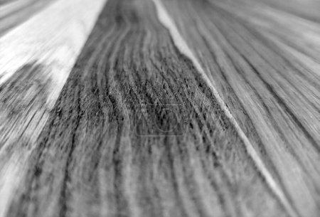 Foto de Fondo blanco y negro de madera natural con elementos borrosos - Imagen libre de derechos