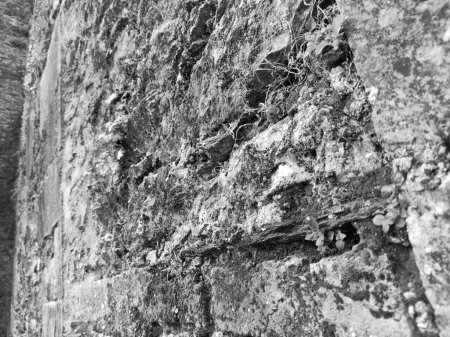Téléchargez les photos : Murs de vieilles grottes celtiques d'un château de Blarney en Irlande, roches et montagnes - en image libre de droit