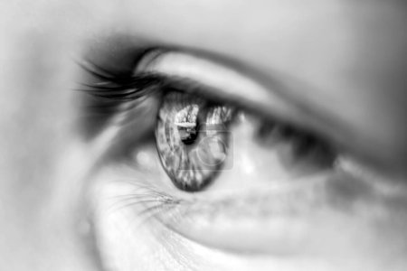 Photo for Eye close view. Human eye glance photo background. Emotional look - Royalty Free Image