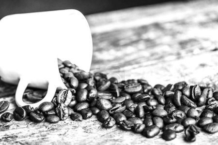 Photo for Coffee beans close view, fresh coffee black and white monochrome background - Royalty Free Image