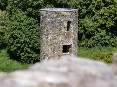 Ancienne tour de château celtique parmi les arbres avec pierre floue à l'avant, château de Blarney en Irlande, ancienne forteresse celtique