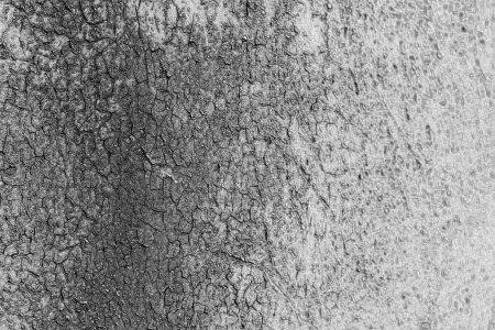 Textura de yeso agrietada. Antiguo patrón de enlucido blanco y negro fondo monocromo
