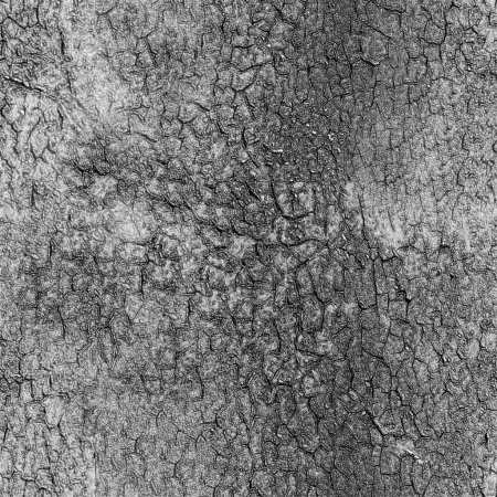 Textura de yeso agrietada. Antiguo patrón de enlucido blanco y negro fondo monocromo
