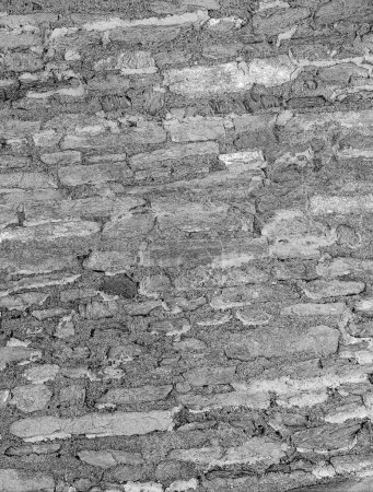 Téléchargez les photos : Motif de mur en pierre, texture de pierre naturelle, fond de chaussée - en image libre de droit