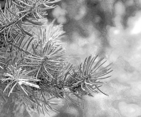 Green pine tree branches and needles close view with blurred natural background