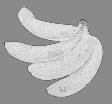 Téléchargez les photos : Bananes jaunes isolées sur fond transparent, cliparts de fruits png illustration - en image libre de droit