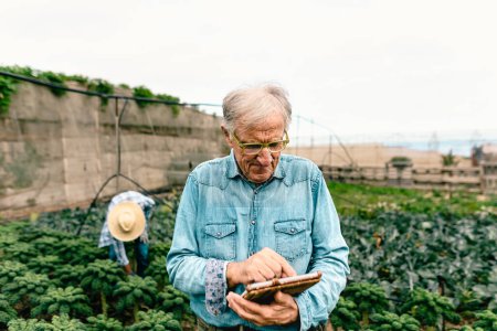 Foto de Hombre agrónomo senior trabajando con tableta dentro de una tierra de cultivo - Concepto de sostenibilidad agrícola - Imagen libre de derechos