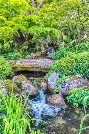 Téléchargez les photos : ROME - 28 AVRIL : Le beau jardin japonais à l'intérieur du jardin botanique de Rome, Italie, 28 avril 2019 - en image libre de droit