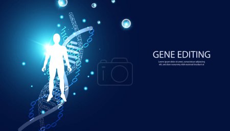 Ilustración de Abstract science human Experimentos bioquímicos, conceptos de ADN, in vitro, edición de genes, trasplantes de genes o medicamentos sobre un fondo azul. - Imagen libre de derechos