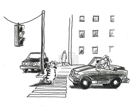 BW cartoon of a cat walking a crosswalk with a dog, in his car, stopped at the traffic light.  The cat is teasing the dog, who is helpless to respond.