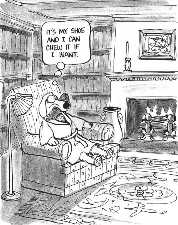 Foto de BW dibujos animados de un perro en su gran, hermosa casa en una silla fácil y masticar su propio zapato. - Imagen libre de derechos