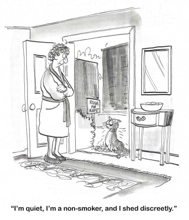 Caricatura de BW de una mujer con una "habitación para alquilar". Un gato aplica y declara sus excelentes credenciales.