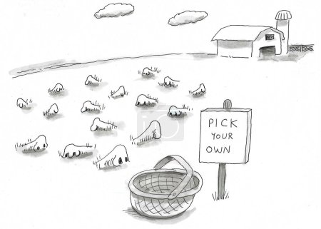 BW caricatura de muchas narices que crecen desde el suelo en la granja. El letrero de la granja dice 'elige el tuyo'.