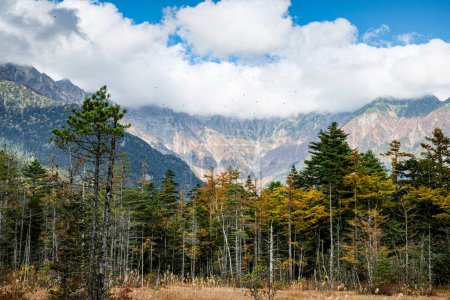 Beautiful background of the center of Kamikochi national park by snow mountains, rocks, and Azusa rivers from hills covered with leaf change color during the Fall Foliage season.