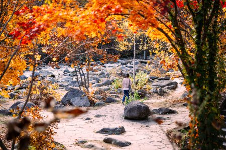 Foto de Paisaje otoñal de Jozankei Onsen Resort, un famoso destino termal con los hoteles y Ryokan tradicional rodeado de colores de otoño. - Imagen libre de derechos