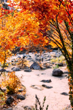 Paysage d'automne de Jozankei Onsen Resort, une célèbre destination de source chaude avec les hôtels et Ryokan traditionnel entouré de couleurs d'automne.
