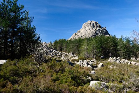Photo for The granitic peaks of Monte Limbara - Royalty Free Image